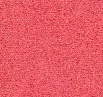 Ковролин Radici Nexus Geranio 8278 фото 1 | FLOORDEALER